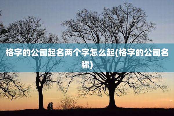 格字的公司起名两个字怎么起(格字的公司名称)