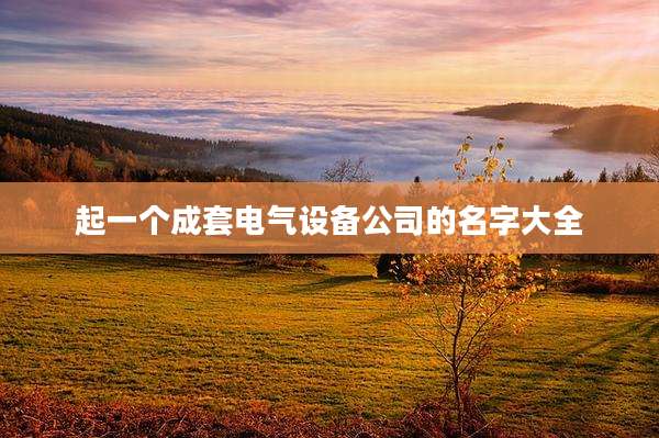 起一个成套电气设备公司的名字大全