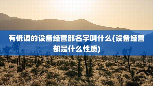 有低调的设备经营部名字叫什么(设备经营部是什么性质)
