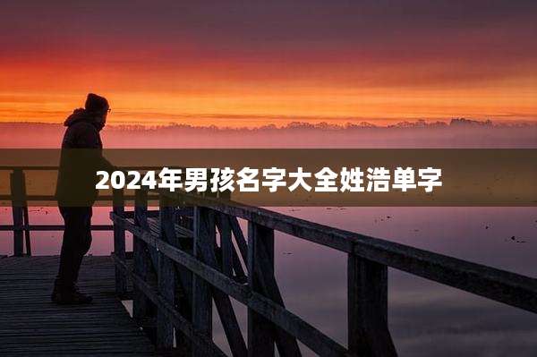 2024年男孩名字大全姓浩单字