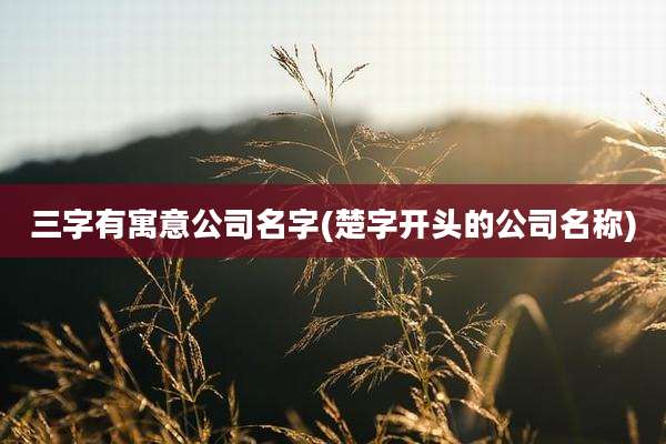 三字有寓意公司名字(楚字开头的公司名称)