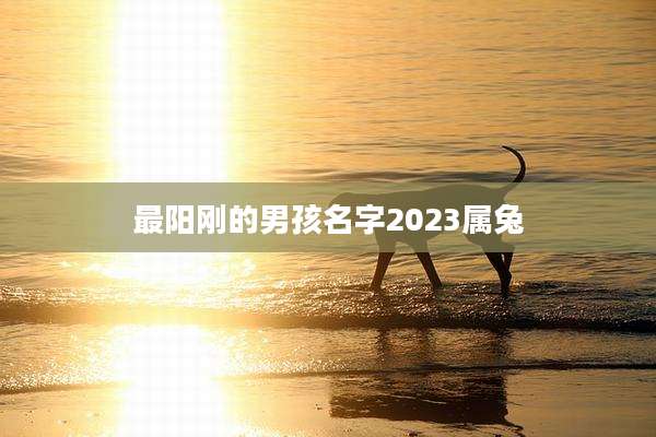最阳刚的男孩名字2023属兔
