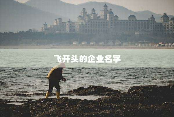 飞开头的企业名字