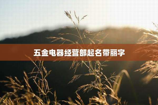 五金电器经营部起名带丽字