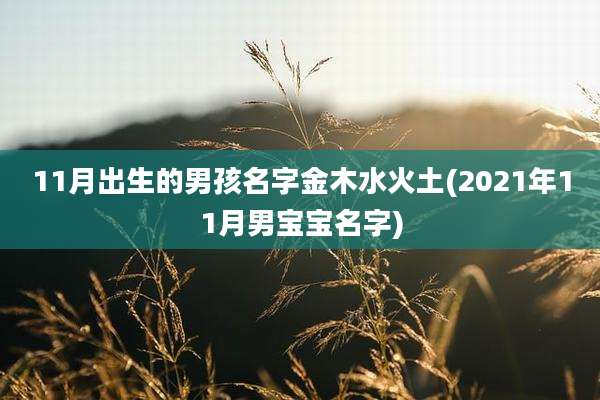 11月出生的男孩名字金木水火土(2021年11月男宝宝名字)