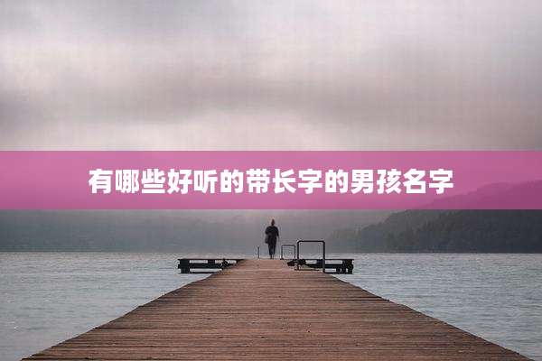 有哪些好听的带长字的男孩名字