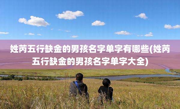 姓芮五行缺金的男孩名字单字有哪些(姓芮五行缺金的男孩名字单字大全)