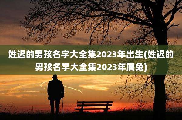 姓迟的男孩名字大全集2023年出生(姓迟的男孩名字大全集2023年属兔)