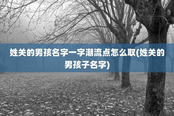 姓关的男孩名字一字潮流点怎么取(姓关的男孩子名字)