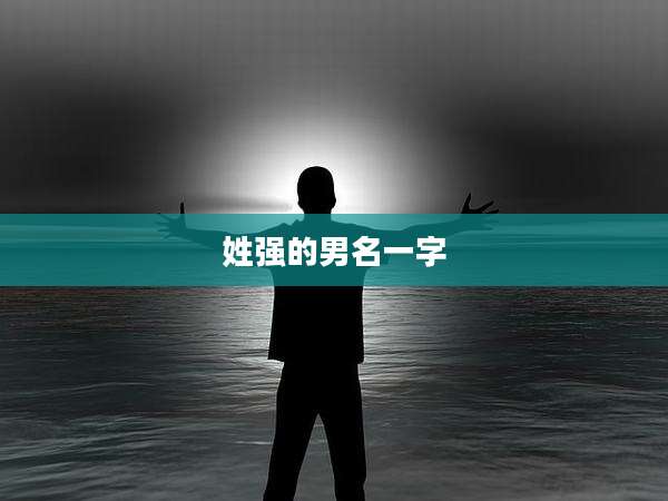姓强的男名一字
