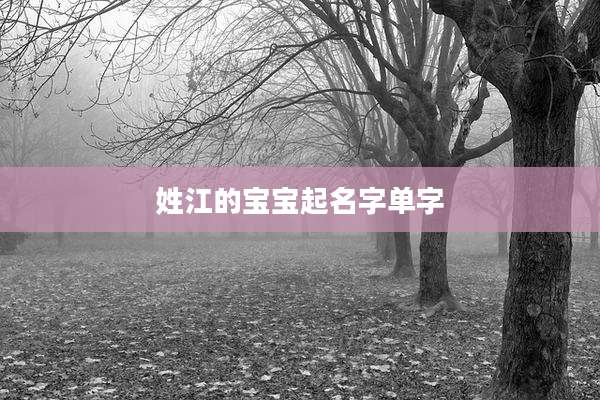 姓江的宝宝起名字单字