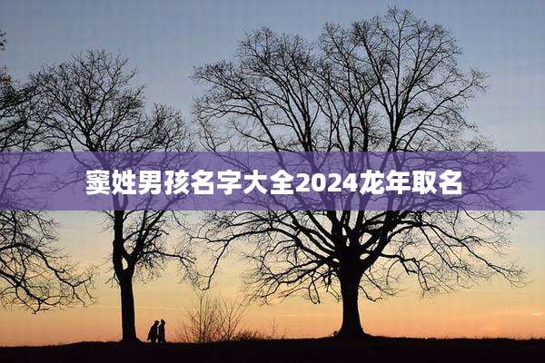 窦姓男孩名字大全2024龙年取名
