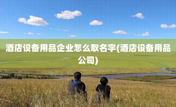 酒店设备用品企业怎么取名字(酒店设备用品公司)