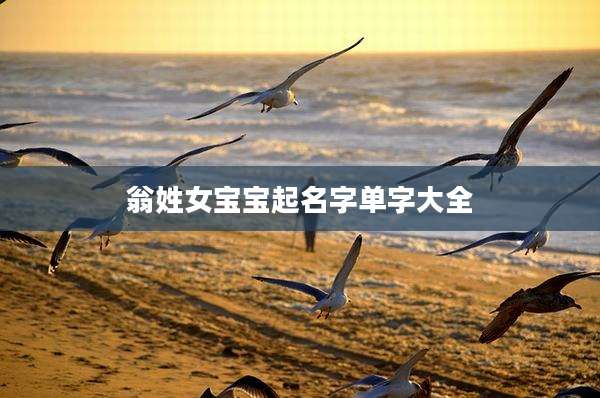 翁姓女宝宝起名字单字大全