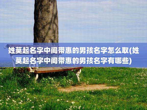 姓莫起名字中间带惠的男孩名字怎么取(姓莫起名字中间带惠的男孩名字有哪些)