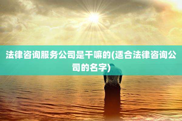 法律咨询服务公司是干嘛的(适合法律咨询公司的名字)