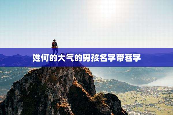 姓何的大气的男孩名字带茗字
