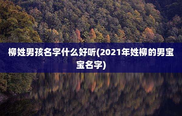 柳姓男孩名字什么好听(2021年姓柳的男宝宝名字)