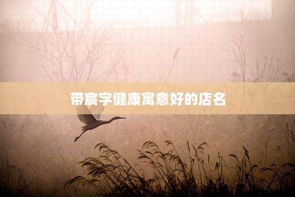 带宸字健康寓意好的店名