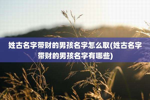 姓古名字带财的男孩名字怎么取(姓古名字带财的男孩名字有哪些)