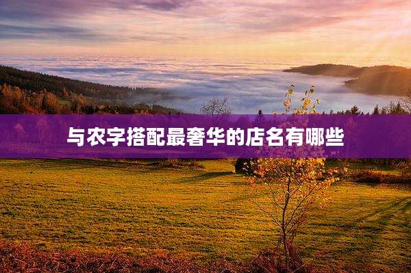 与农字搭配最奢华的店名有哪些