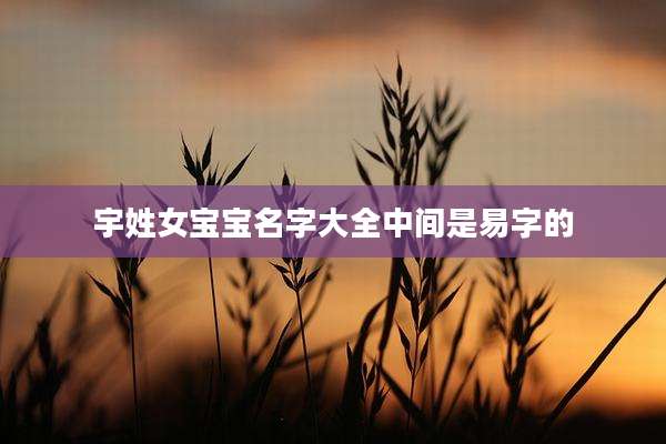 宇姓女宝宝名字大全中间是易字的