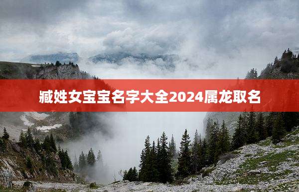 臧姓女宝宝名字大全2024属龙取名