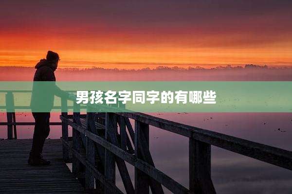 男孩名字同字的有哪些