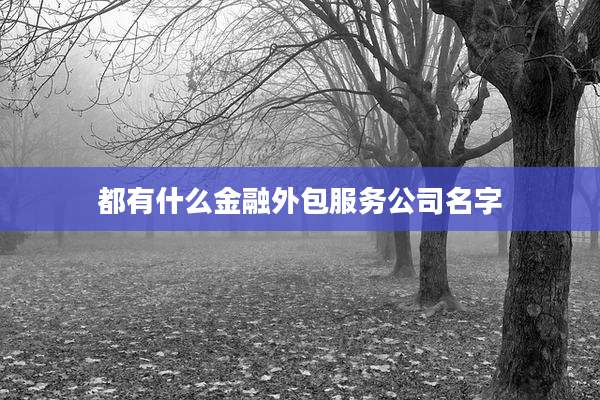 都有什么金融外包服务公司名字