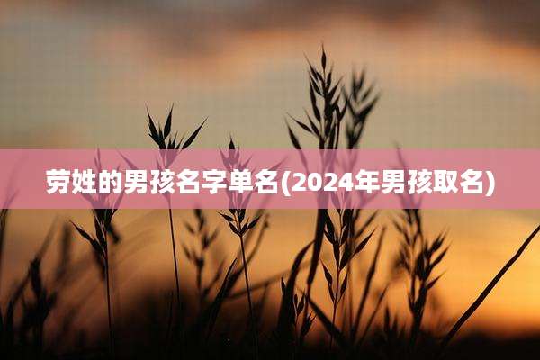 劳姓的男孩名字单名(2024年男孩取名)