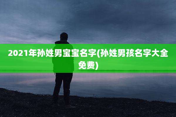 2021年孙姓男宝宝名字(孙姓男孩名字大全免费)