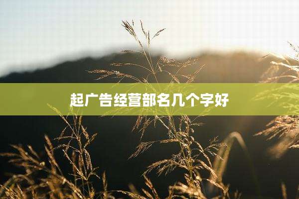 起广告经营部名几个字好