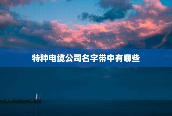 特种电缆公司名字带中有哪些