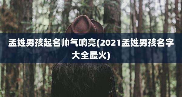 孟姓男孩起名帅气响亮(2021孟姓男孩名字大全最火)