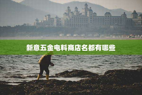 新意五金电料商店名都有哪些