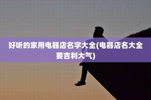 好听的家用电器店名字大全(电器店名大全要吉利大气)