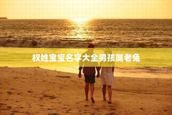 权姓宝宝名字大全男孩属老兔
