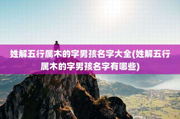 姓解五行属木的字男孩名字大全(姓解五行属木的字男孩名字有哪些)