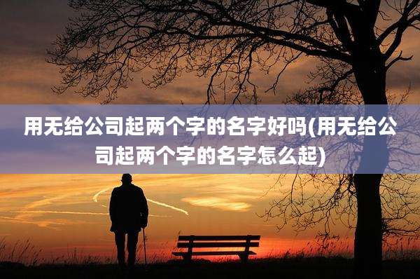 用无给公司起两个字的名字好吗(用无给公司起两个字的名字怎么起)