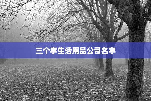 三个字生活用品公司名字