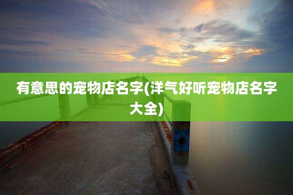 有意思的宠物店名字(洋气好听宠物店名字大全)