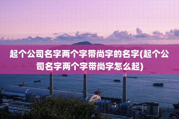 起个公司名字两个字带尚字的名字(起个公司名字两个字带尚字怎么起)