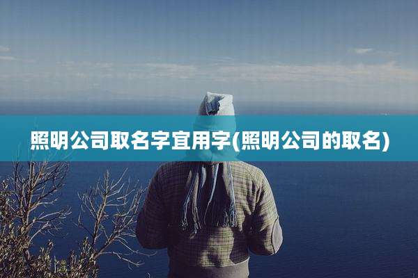照明公司取名字宜用字(照明公司的取名)