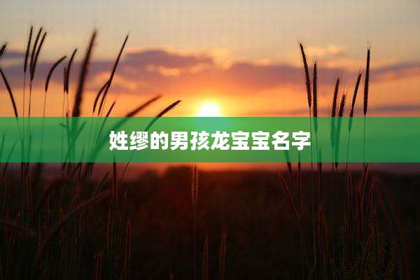 姓缪的男孩龙宝宝名字