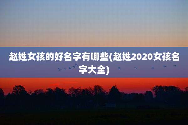 赵姓女孩的好名字有哪些(赵姓2020女孩名字大全)