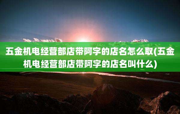 五金机电经营部店带阿字的店名怎么取(五金机电经营部店带阿字的店名叫什么)