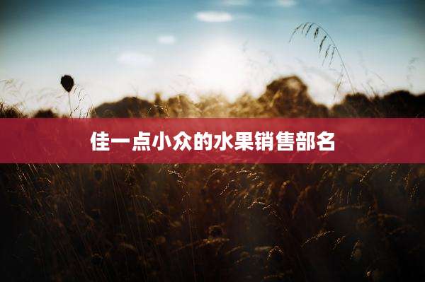 佳一点小众的水果销售部名