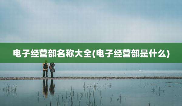 电子经营部名称大全(电子经营部是什么)