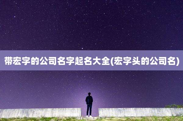 带宏字的公司名字起名大全(宏字头的公司名)