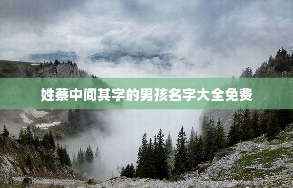 姓蔡中间其字的男孩名字大全免费